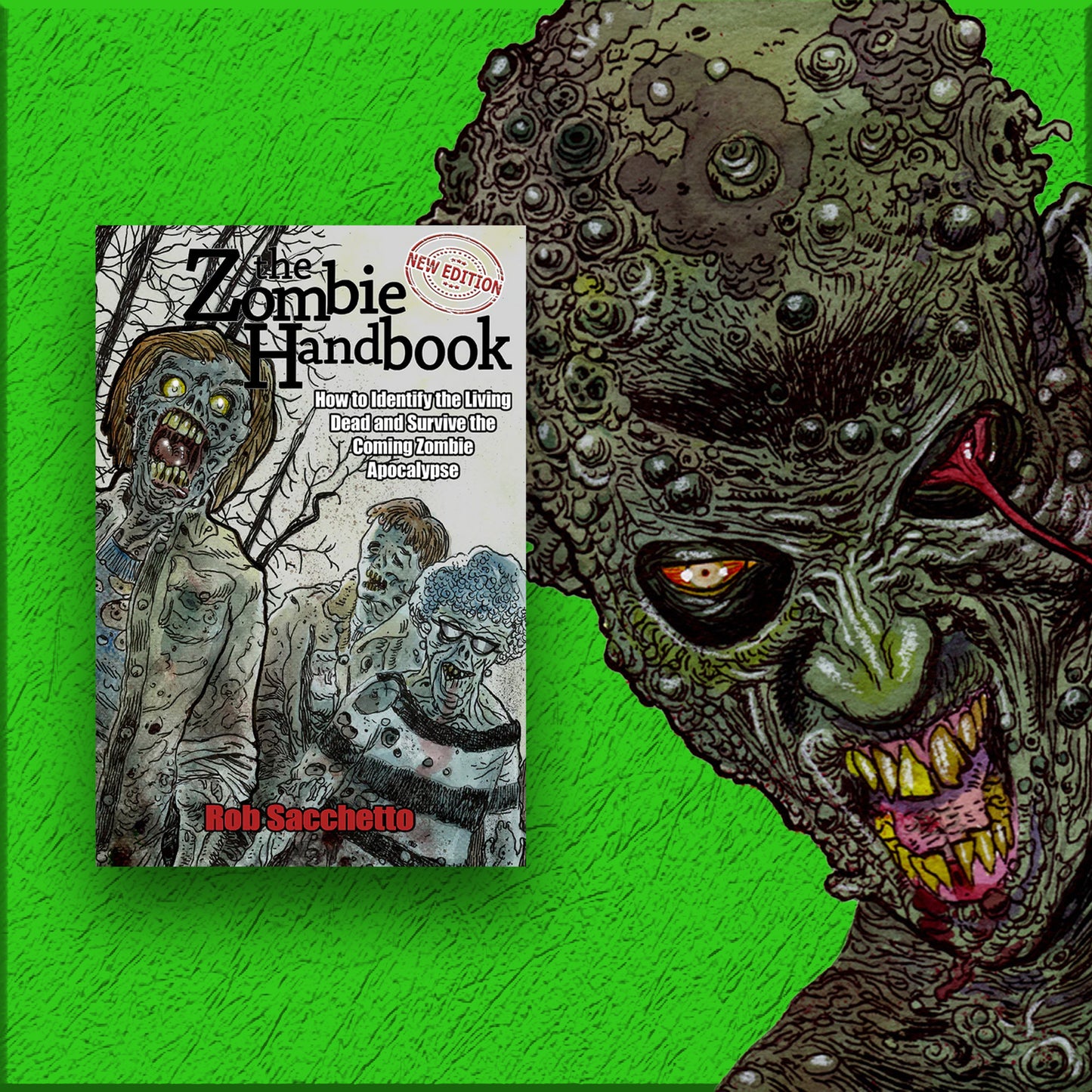 Zombie Handbook by Rob Sacchetto — Second Printing